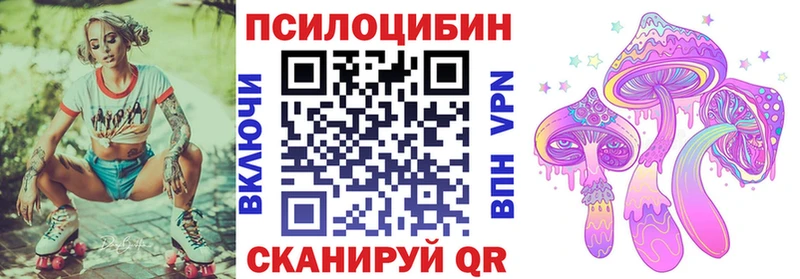 Галлюциногенные грибы Psilocybe  Скопин 